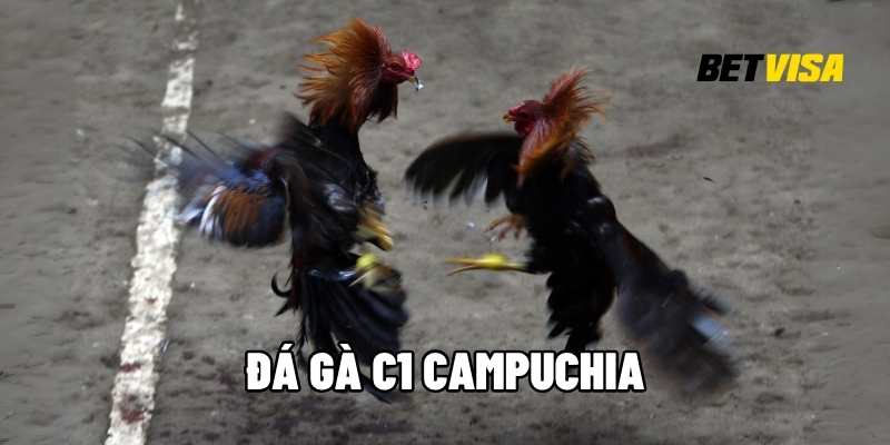 đá gà C1 Campuchia