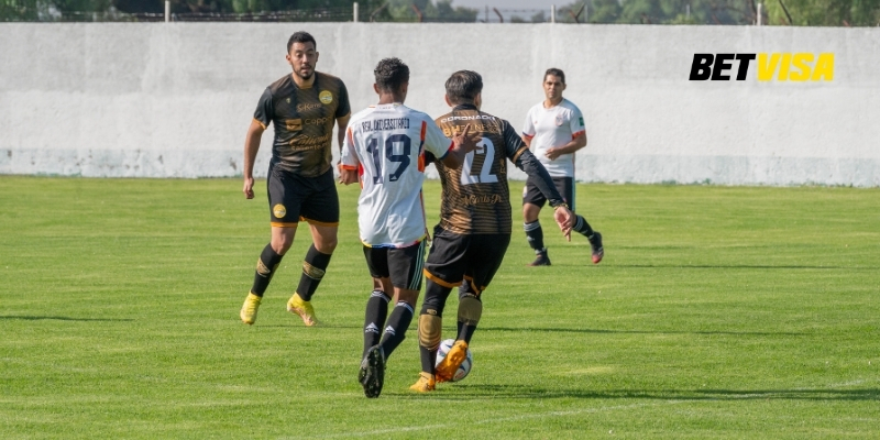 Các mô hình và thuật toán được sử dụng phổ biến để định giá odds